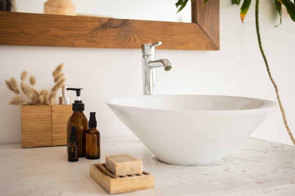 About 6 pexels monstera 6781116