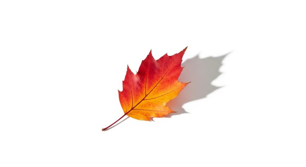 Aesthetic Wallpaper Background for iPhone Fall Cozy Autumn Vibes 6 Whisk f500be7e89