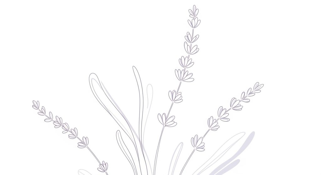 Whisk 55d522b89a