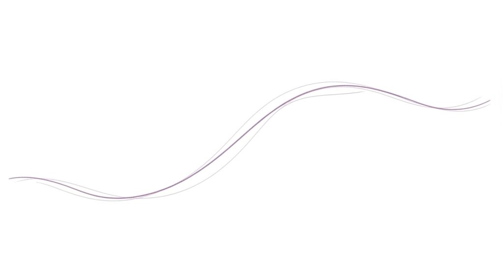 Whisk e3b673ffb8