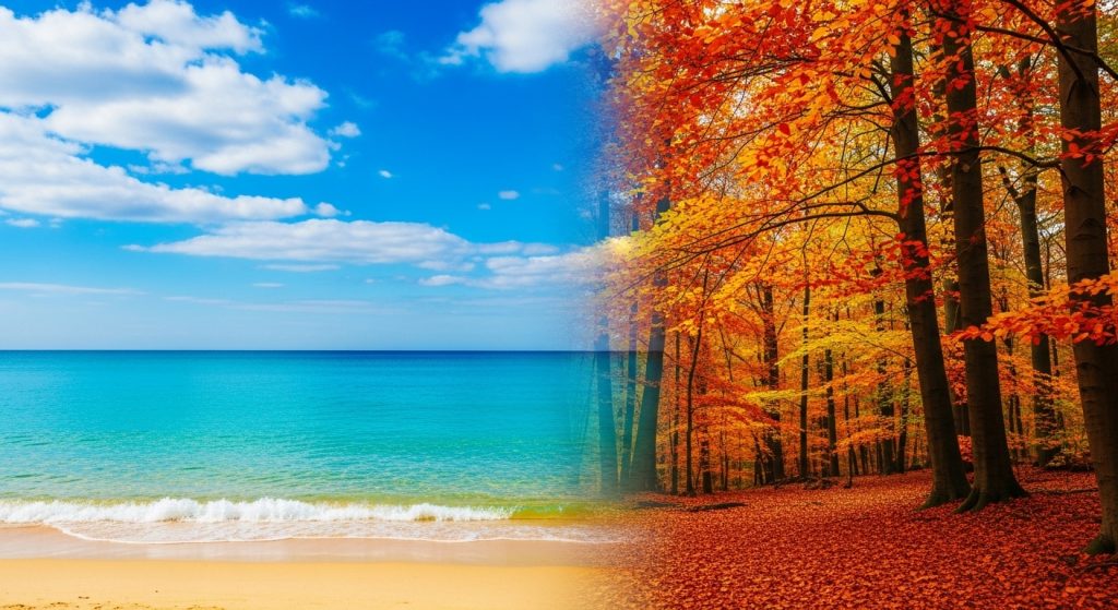 Whisk 418533111e71e69996243814579fa892dr