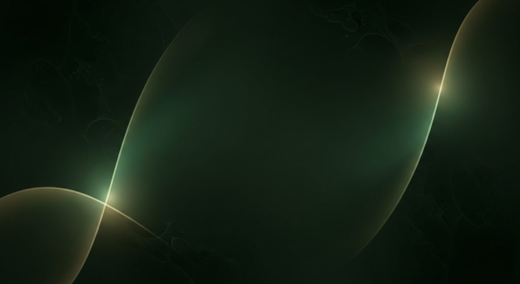 Whisk b7991d214134678954b45b0e3b9527c2dr