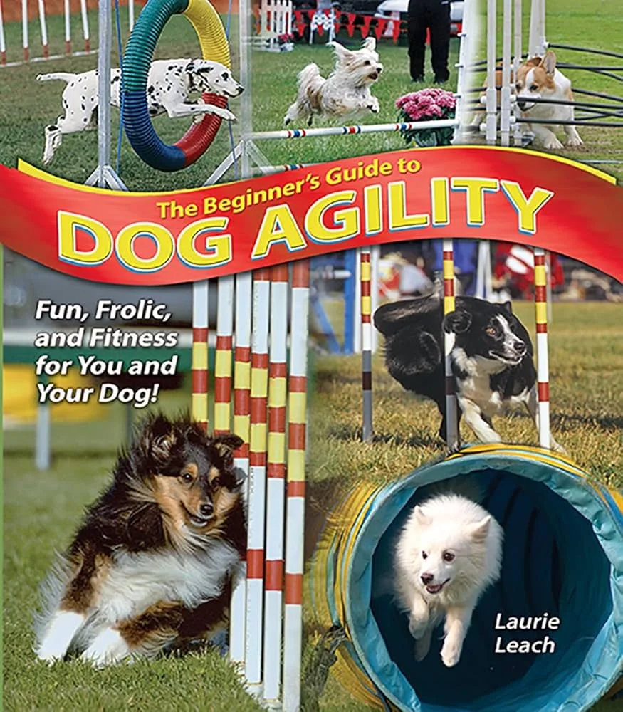 Trained dog responding confidently to cues