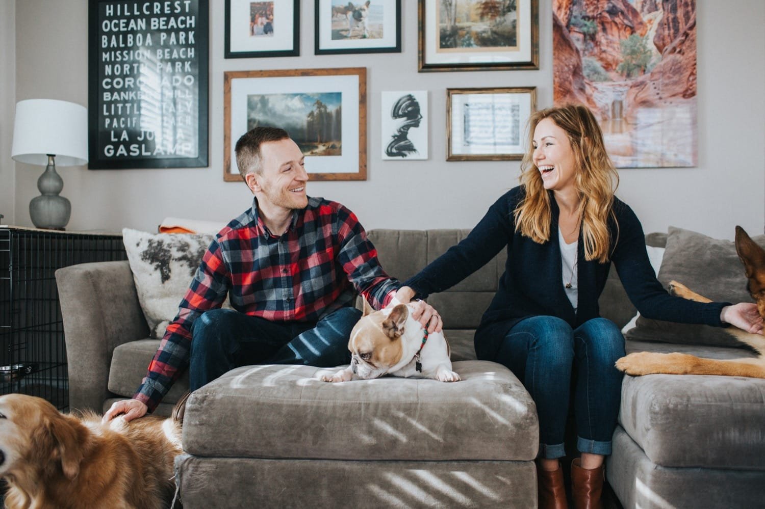 Best dog breeds for home living with family indoors