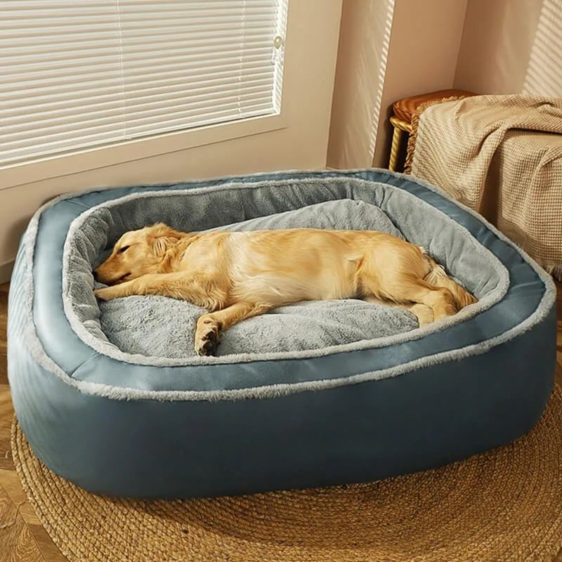 Dog Care Tips Every Dog Owner Must Know in 2026 7 Safe and Comfortable Living Environment