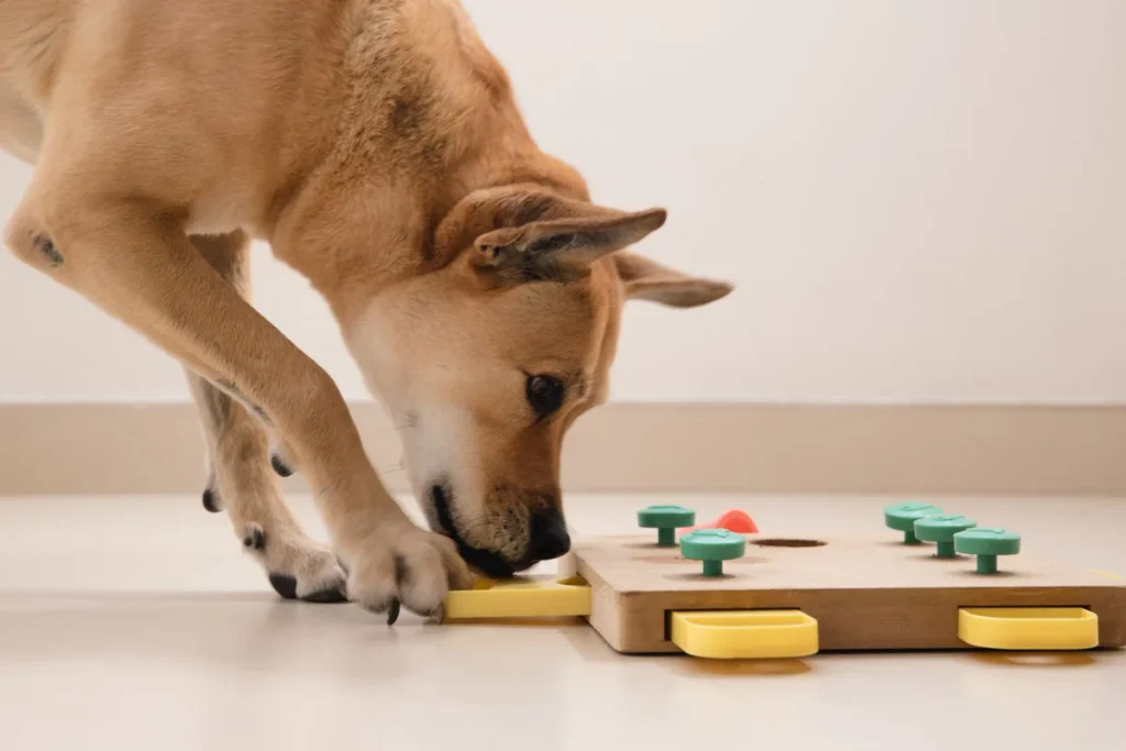 Why Dogs Bark and How to Reduce It Naturally 3 Dog using puzzle enrichment toys to reduce boredom barking