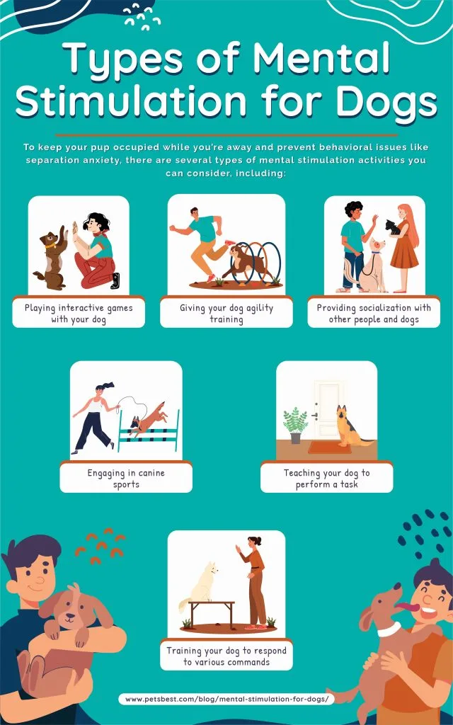 Dog Care Tips Every Dog Owner Must Know in 2026 5
mental_stimulation_for_dogs_i