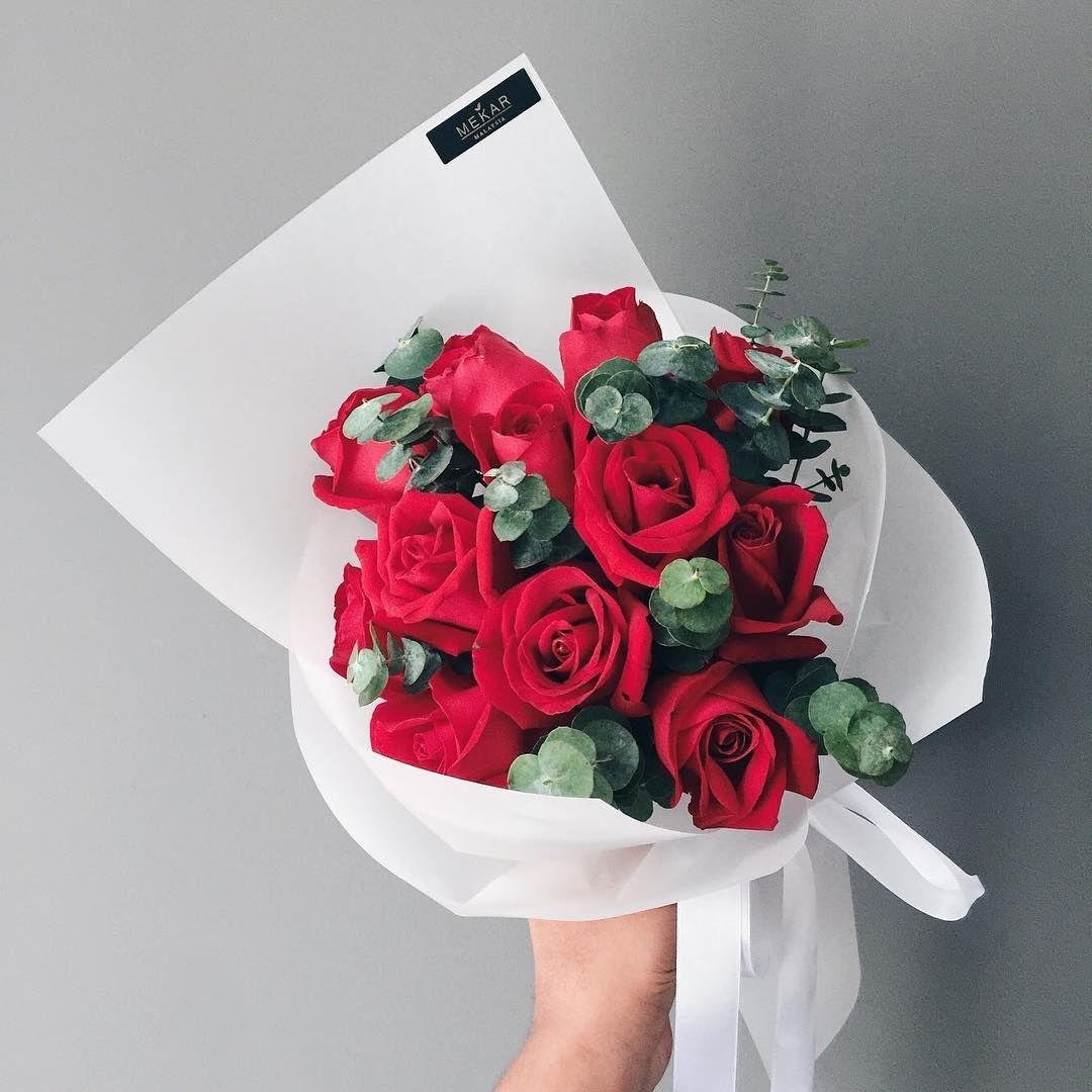 Elegant red rose bouquet wrapped in white paper with fresh eucalyptus leaves, hand-held for a romantic gift, perfect for Valentine's Day, anniversaries, weddings, and special celebrations.