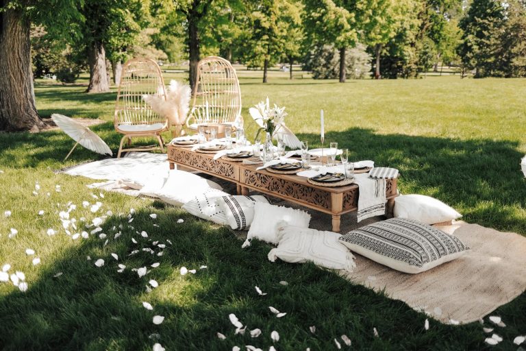 Luxury Picnic Setup