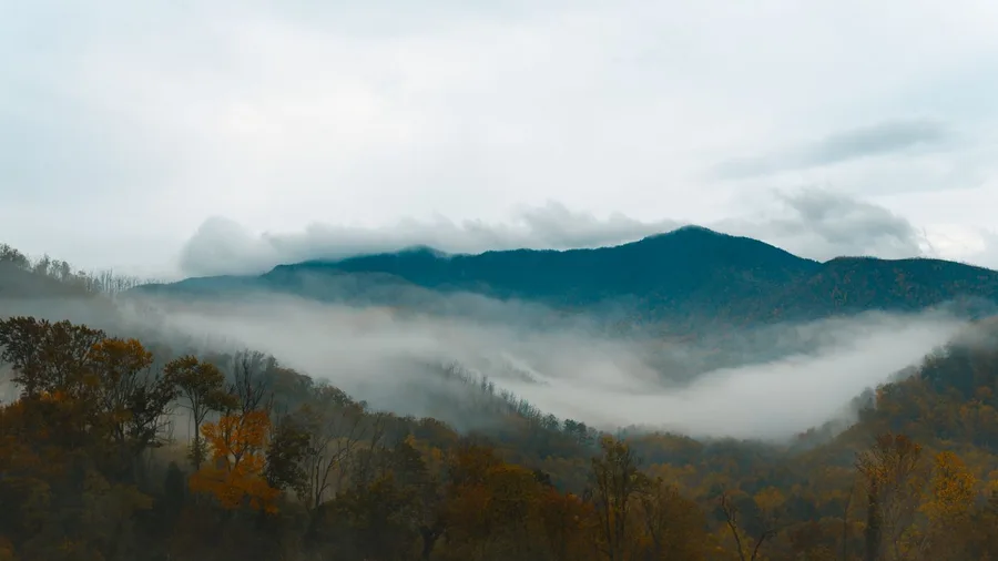 Gatlinburg, Tennessee Balances Smoky Mountain Wildlife