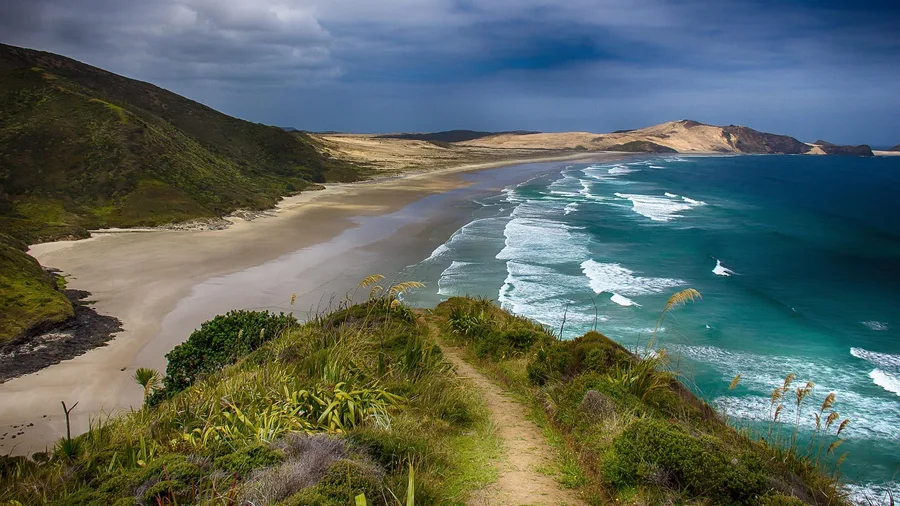 Best Beaches in the World Ranked By Locals 15 Waihi Beach, New Zealand: Coast Walk