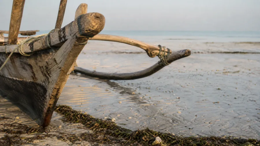Best Beaches in the World Ranked By Locals 6 Nungwi Beach, Zanzibar: High-Tide Swim