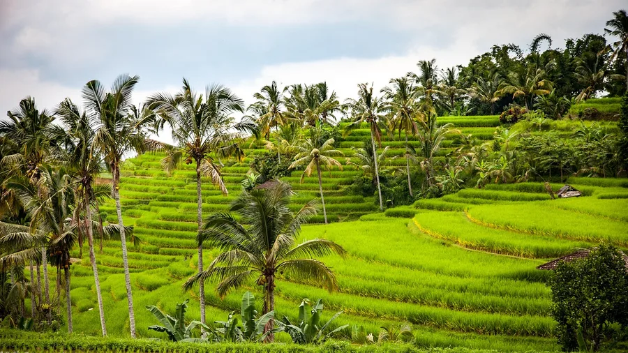 Indonesia: B211A visa, $1,800/month