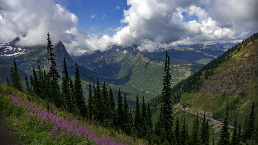 Highline Trail: Glacier's Ledge Walk