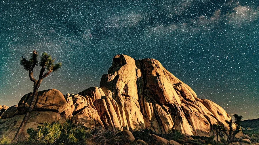 Best National Parks in the USA Ranked 12 Joshua Tree: Dark Skies and Strange Rocks