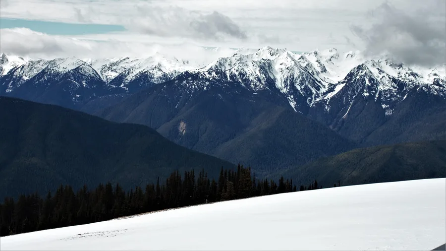Best National Parks in the USA Ranked 8 Olympic: Rainforest, Coast and Ridge in One Trip