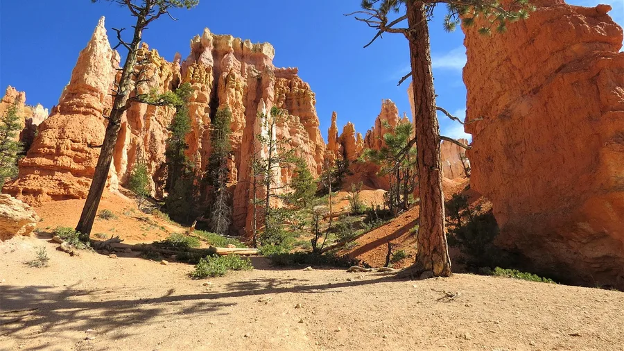 Best National Parks in the USA Ranked 10 Bryce Canyon: Hoodoos You Walk Down Into