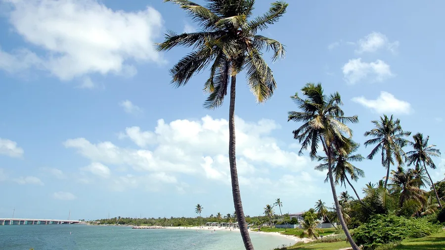 Swim Off the Overseas Highway to Key West