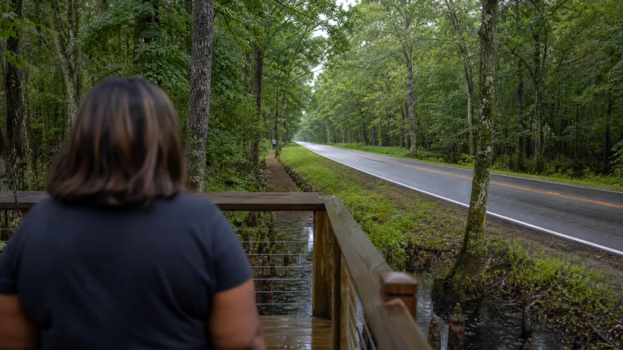 Wander the Natchez Trace Parkway