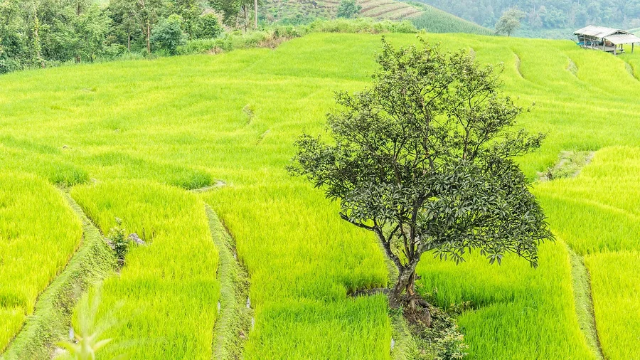 Thailand for Northern Mountain Retreats and Islands