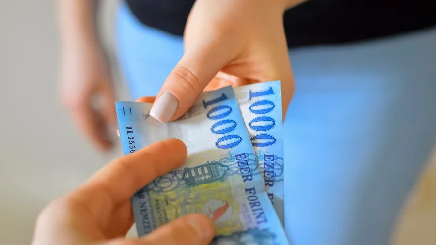 10 Countries Offering Citizenship By Investment in 2026 3 Dominica: a plain fund donation