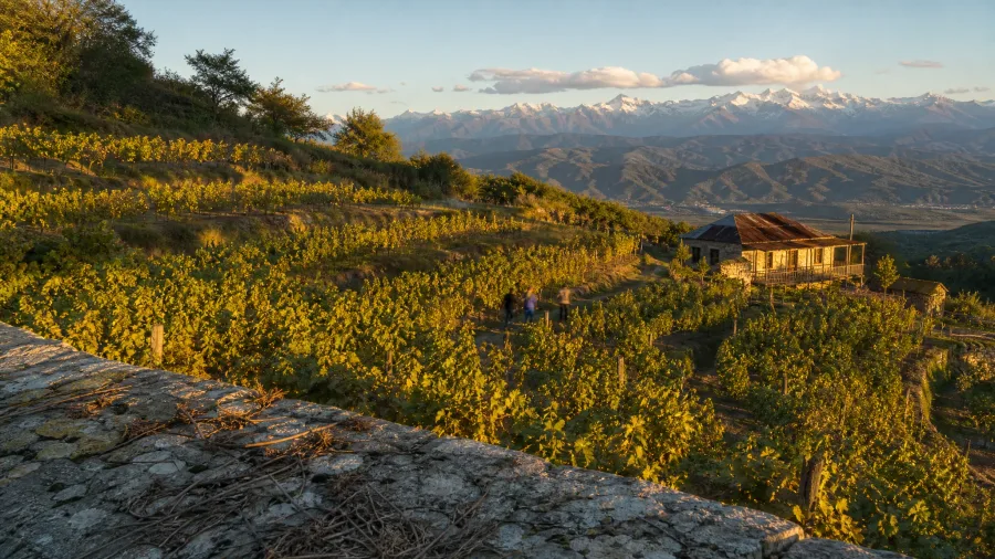 10 Countries Where Cheap Land ALSO Buys You Citizenship 13 Georgia's Rural Land, Flat Tax Appeal, and Long Naturalization Road
