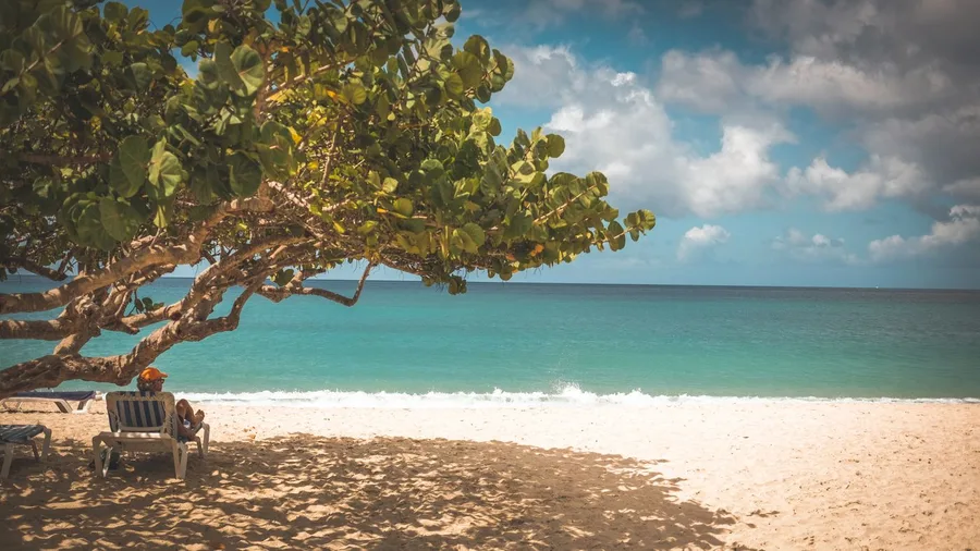10 Countries Where Cheap Land ALSO Buys You Citizenship 3 Grenada's CBI Program and Its U.S. E-2 Treaty Benefit