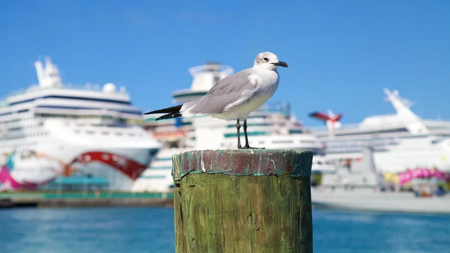 10 Countries Where Foreigners Pay Zero Income Tax 10 The Bahamas: No Income Tax, High Cost