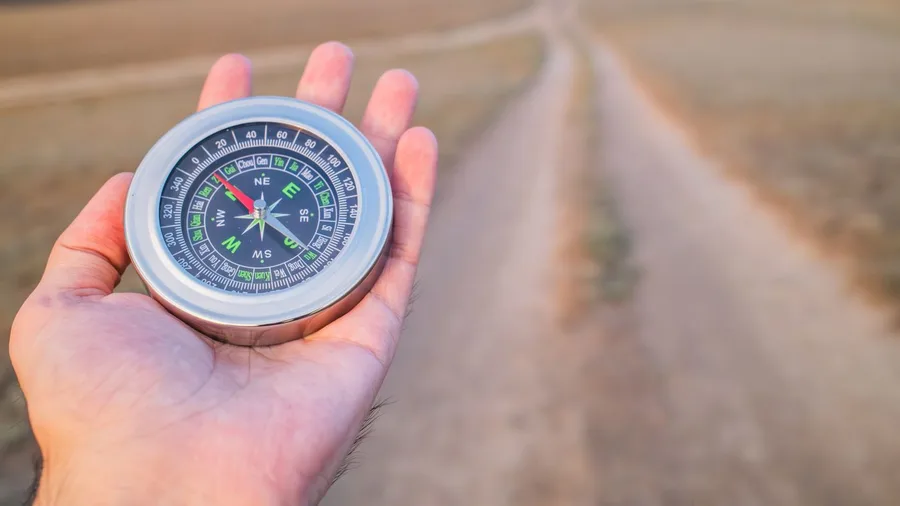 How Many Steps a Day Does It Take to Sharpen Your Attention? A 14-Year Study Hints at The Range 8 The Direction of the Link Is Still Open