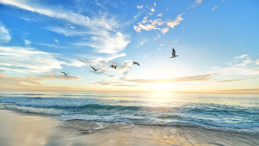 What 'Untouched' Really Feels Like