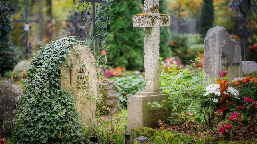 Places Where It's Illegal to Be Born (Or Die) 4 Cemetery Crises Prompt Tongue-in-Cheek Death Bans