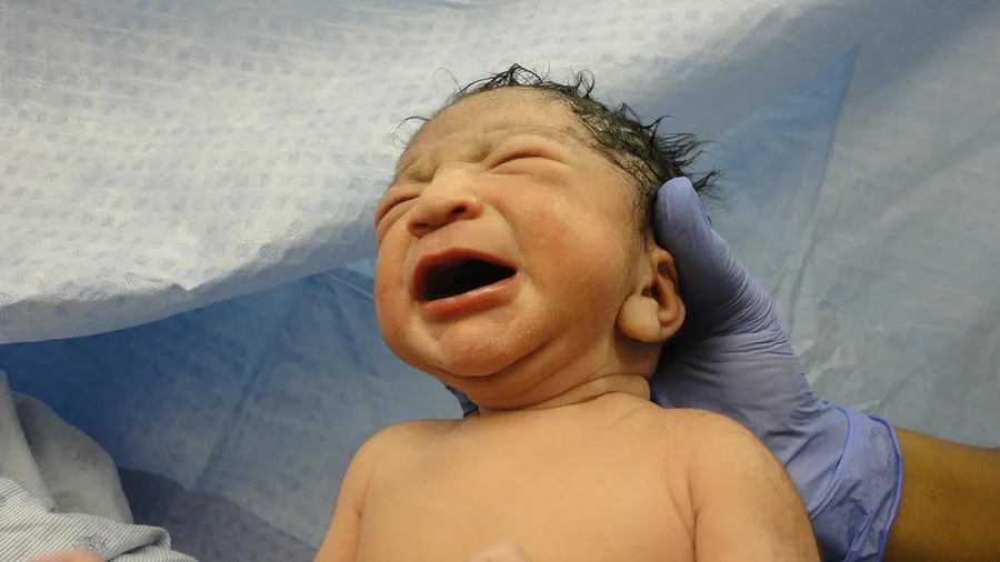 Places Where It's Illegal to Be Born (Or Die) 9 Accidental Births Receive Exceptional Legal Status