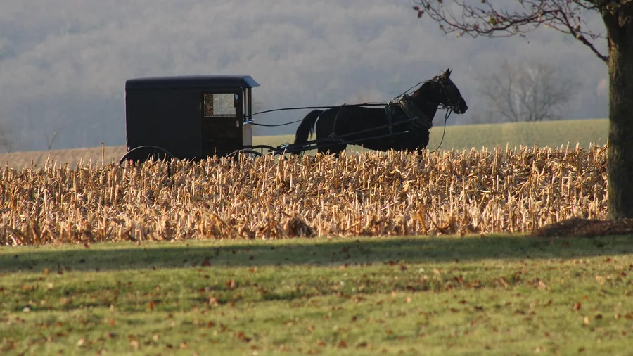 Holmes County, Ohio: Traveling by Buggy Paces