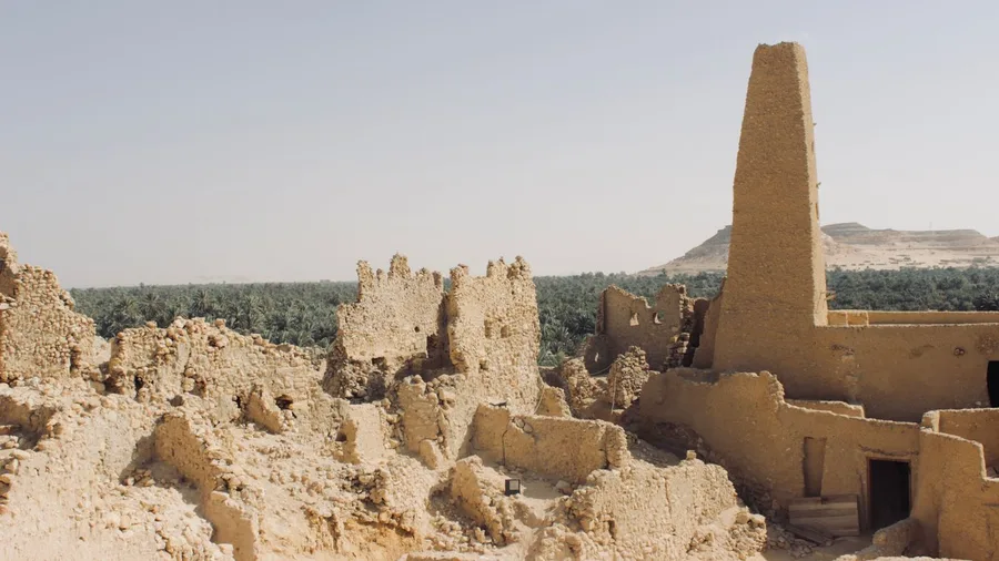 Siwa Oasis, Egypt: Rhythms Set by Springwater Rotations