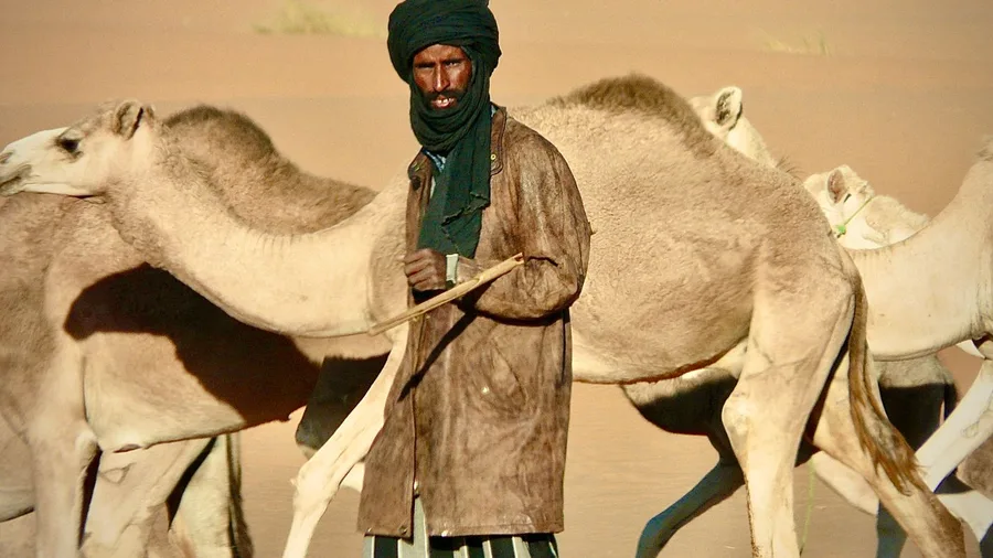 Tuareg Caravans Still Traverse Trans-Saharan Salt Routes