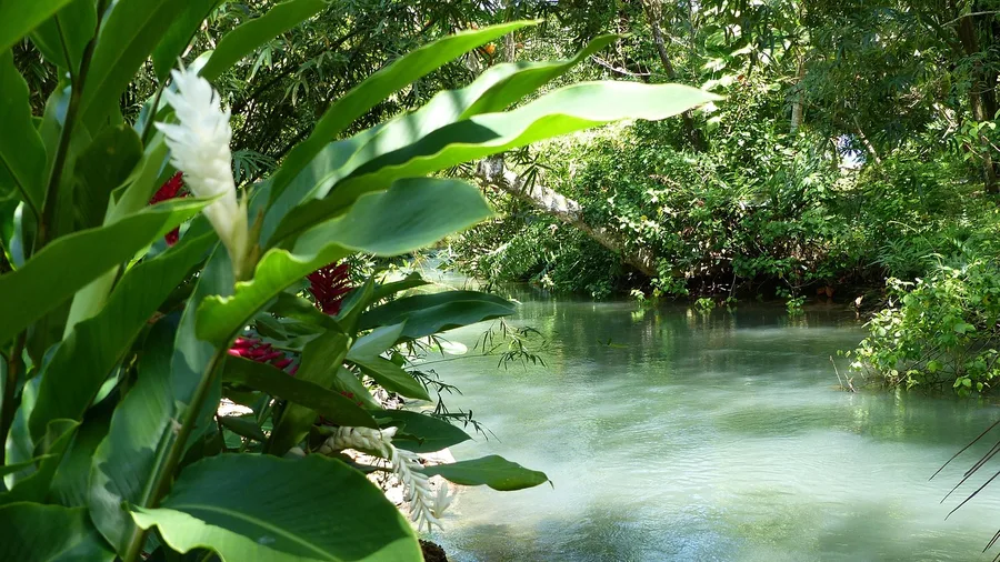 Jamaica's Portland Parish and South Coast