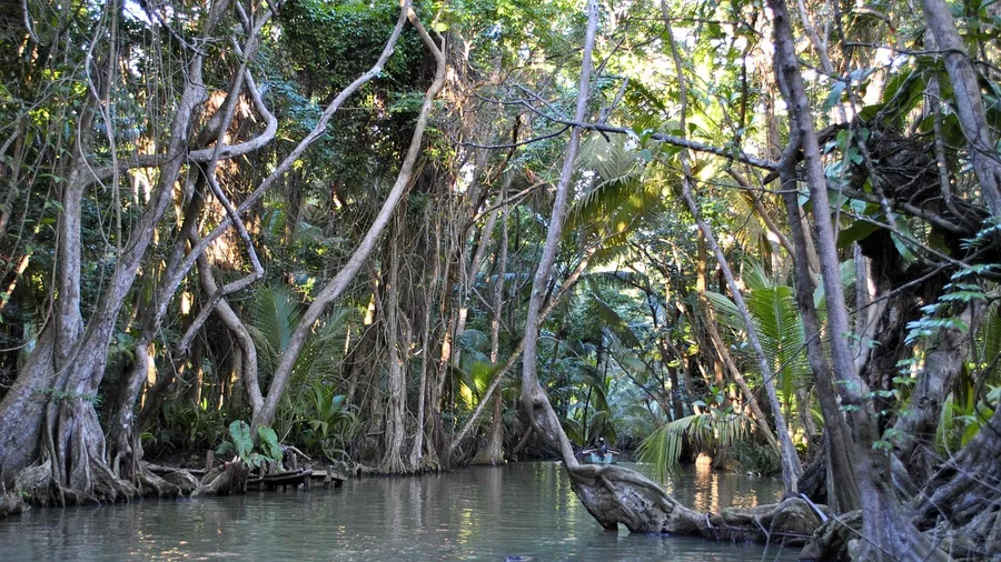 Dominica's Nature Lodges and Free Natural Springs