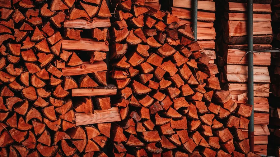 Latvia's low rent means you heat the place yourself