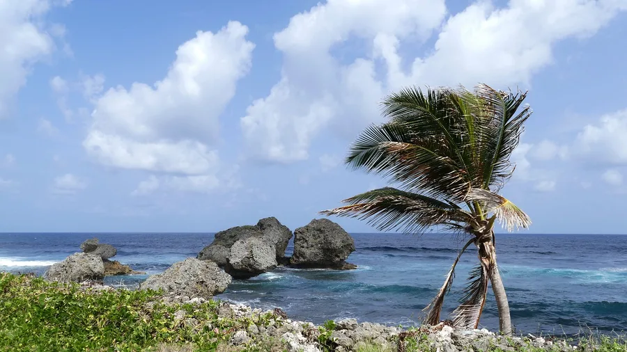 These Islands Will Give You Residency If You Invest 7 A donation is sunk; a condo is sellable