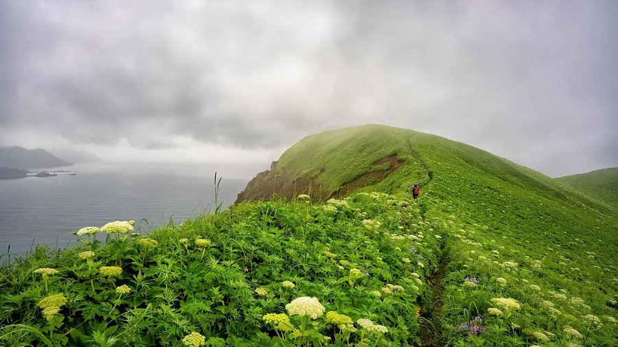 Top 25 Islands You Need to Visit Before They Get Crowded 11 Marettimo's Hiking Trails in June