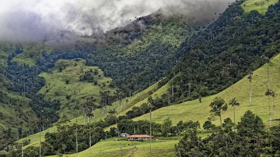 Colombia for Coffee Triangle Landscapes and Caribbean Culture